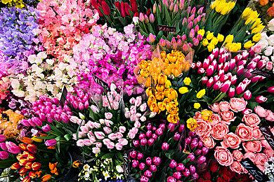 《巫师3》HD重制Mod次世代版新视频 令人惊叹！